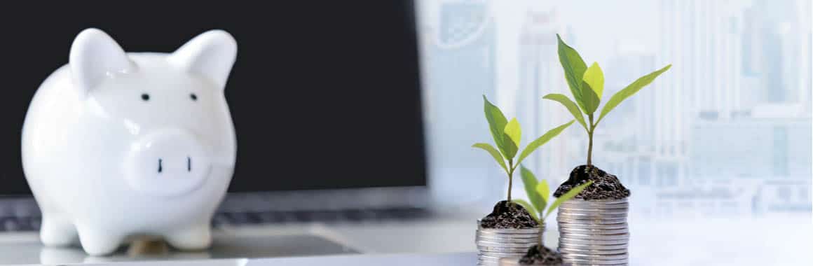 L’investissement pour les professionnels