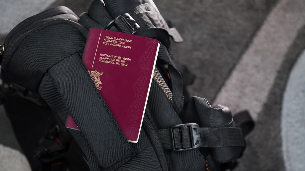 immigration professionnelle